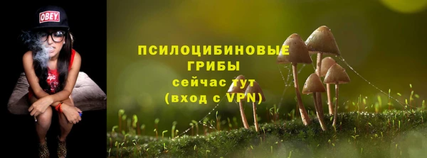 эйфоретик Алексеевка