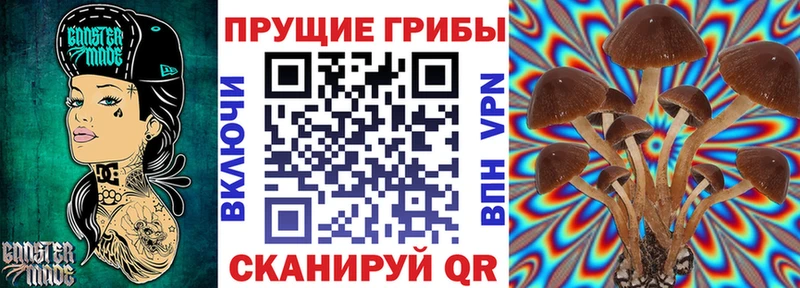 Галлюциногенные грибы мицелий Пущино