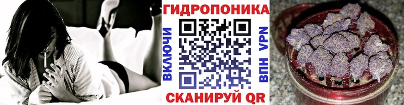 Шишки марихуана Amnesia  Пущино 